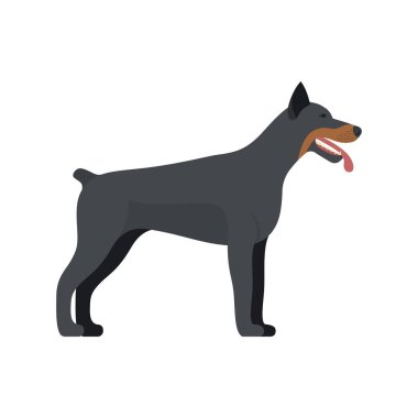 Doberman Pinscher köpek doğurmak