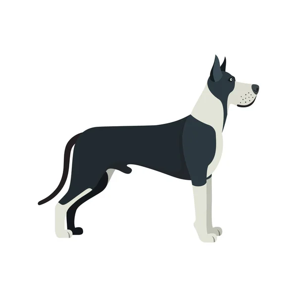Great Dane hondenras - op witte achtergrond. — Stockvector