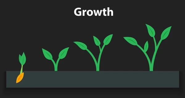 Den Prozess des Pflanzenanbaus. Etappen und Zeitleiste Infografik der Baumpflanzung. — Stockvektor