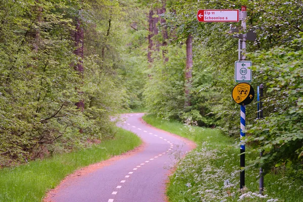 Borger, Hollanda, 22 Mayıs 2020, Hollanda bisiklet yolu, işaretli. TT yolu
