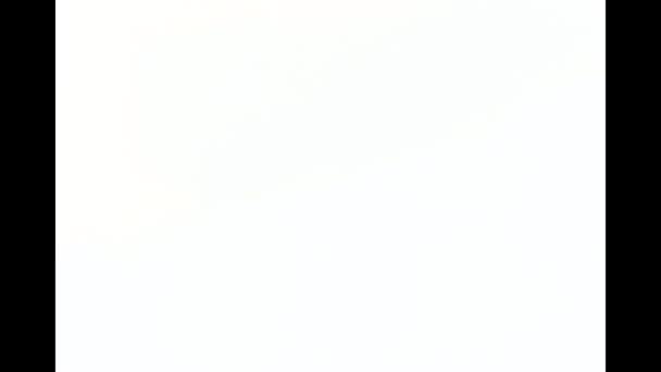 super8 film Burn Footage, fuites de lumière, rayures et éraflure de lentille. Pour les transitions 2 