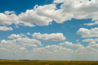 Renkli arkaplanda güzel mavi desen.