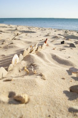 Sahildeki kumlara yerleştirilmiş küçük taşlar, arka planda denizi görebilirsiniz..