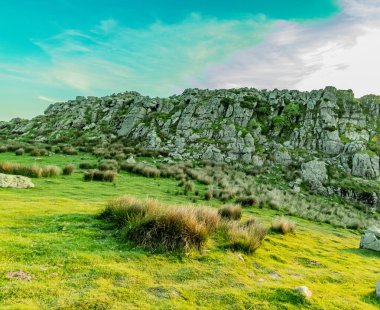 Doğa, dağlar, ağaçlar ve günbatımı. Adarra Dağı