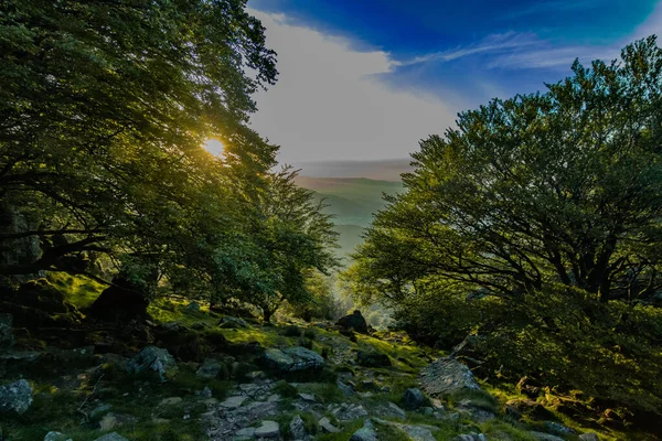 Natuur Bergen Bomen Zonsondergang Adarra Berg — Stockfoto
