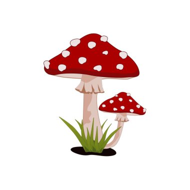 Sihirli Mantar Amanita Muscaria Uçan Agarik Vektör
