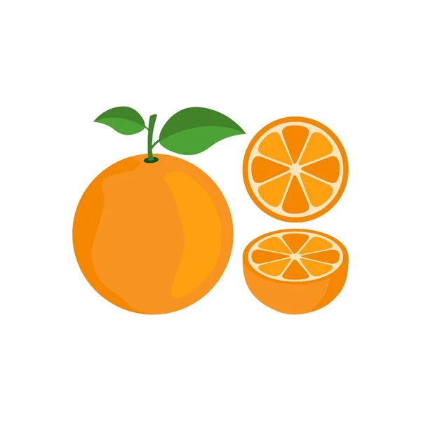 オレンジ柑橘類の半分フルーツベクトル — ストックベクタ