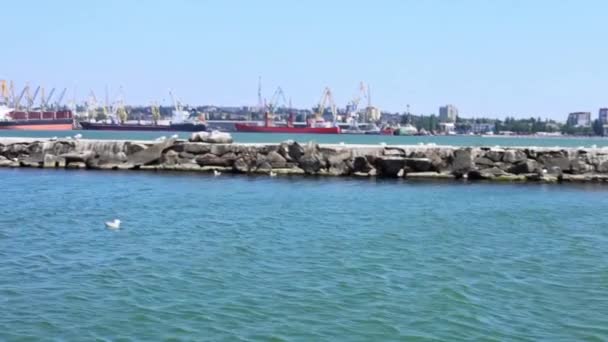 Puerto comercial con grúas — Vídeo de stock