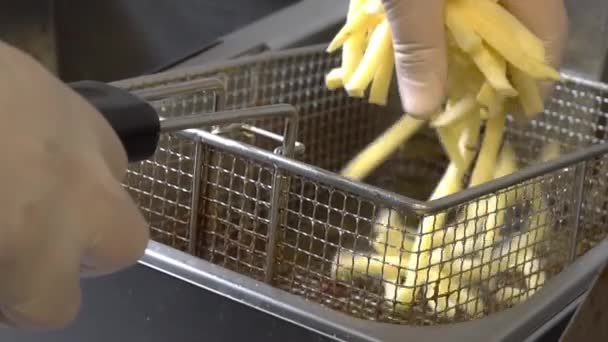 Готовить картошку фри во фритюрнице — стоковое видео