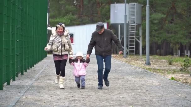 El chico corre hacia sus abuelos. — Vídeos de Stock