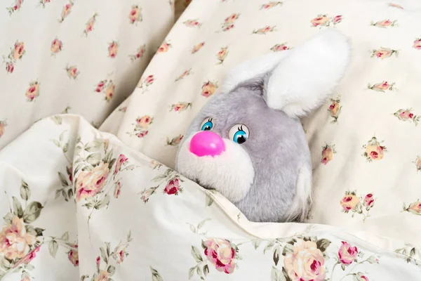 Плюшевый кролик под одеялом — стоковое фото