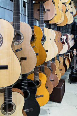 Vitrin gitar store