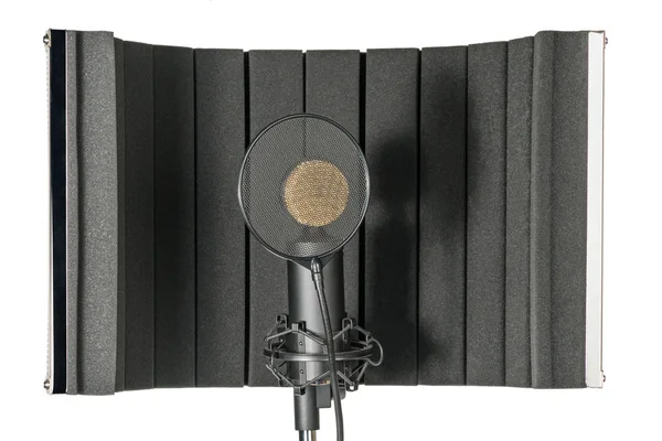 Estúdio microfone e escudo no suporte de microfone — Fotografia de Stock