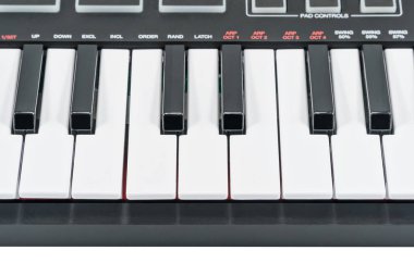 Birçok elektrikli piyano tuşları