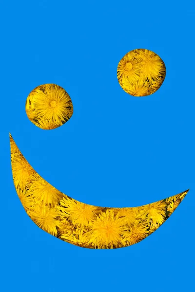 Smiley from dandelions — Stock Photo, Image