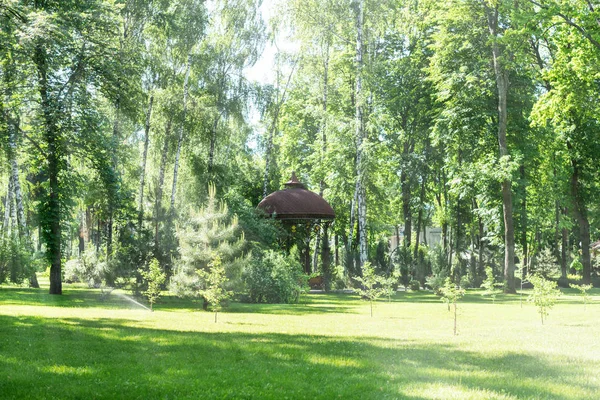 Vacker sommar gräsmatta — Stockfoto