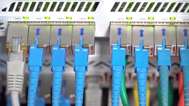 Cables en un router, primer plano — Vídeo de stock