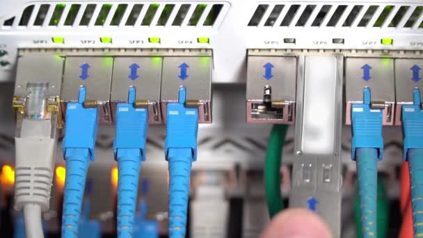 Mano inserta el cable en el centro de Internet — Vídeo de stock