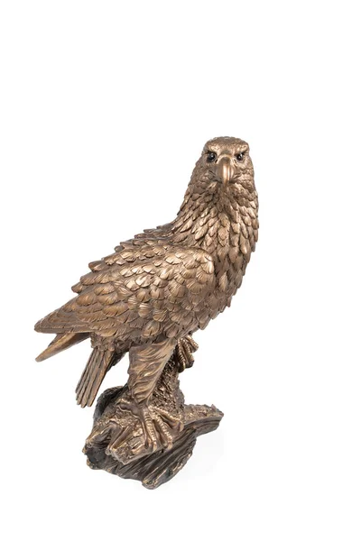 Schrecklicher Bronzeadler — Stockfoto