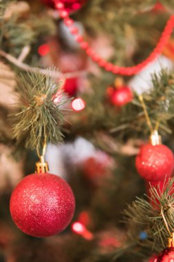 Şube ile topu bir Noel ağacı üzerinde