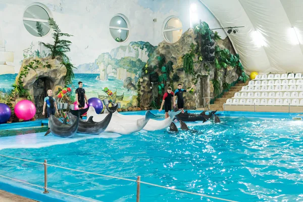 Харьков, Украина - 18 января 2018 года: Дельфины на пьедестале почета — стоковое фото