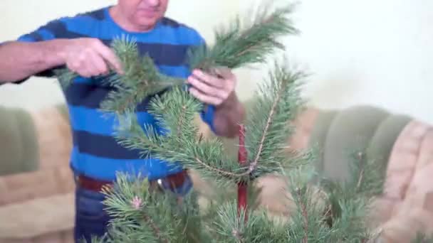 Man verzamelt een frame kerstboom — Stockvideo