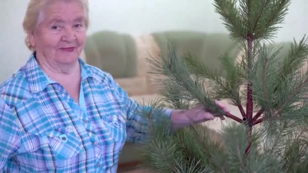 Grootmoeder verzamelt een kerstboom — Stockvideo