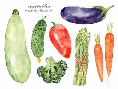 Sebzelerin suluboya çizimi. Beyaz arka planda izole sebzeler..