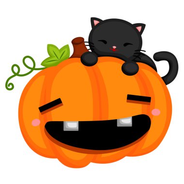 Siyah kedi ve bal kabağı