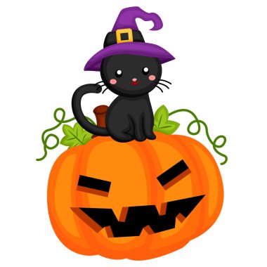 Kabak üstüne oturan siyah kedi ile