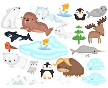 Arktik hayvan vektör Set