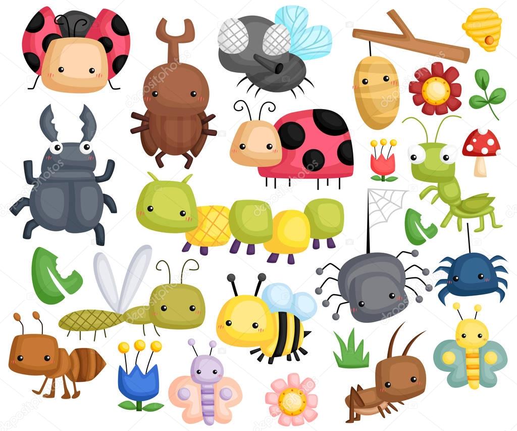 Bug Vector Set with many content