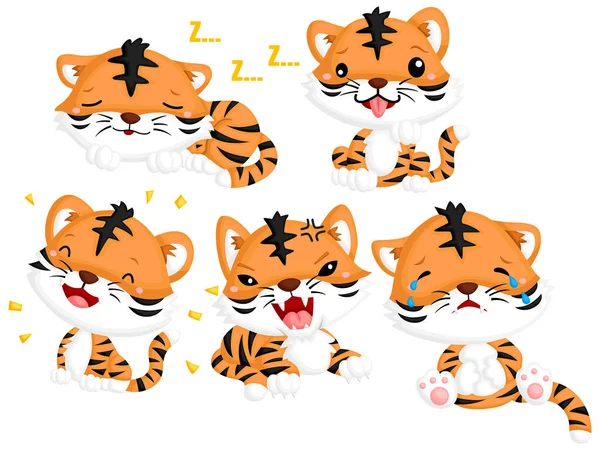 Tigre Con Muchas Emociones Expresiones — Vector de stock