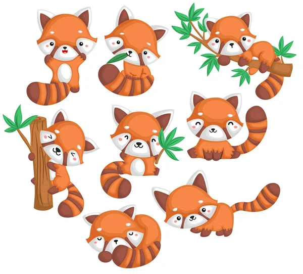 Vector Many Red Pandas Many Poses — 스톡 벡터