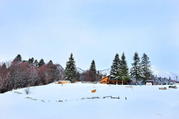 Kışın Secuilor Dağ Evindeki Güzel Manzara 1070 Metre Yükseklikte Predeal — Stok fotoğraf