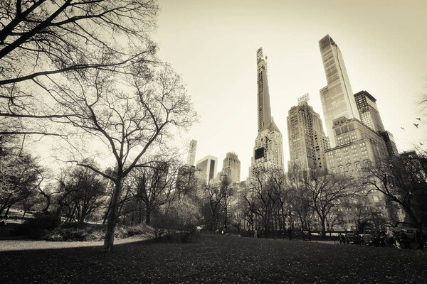 Manhattan, New York , NYC, United States - December 7, 2019. Beautiful winter day in Central Park, one of the most visited tourist attractions worldwide in Manhattan, New York City. Monochrome image.