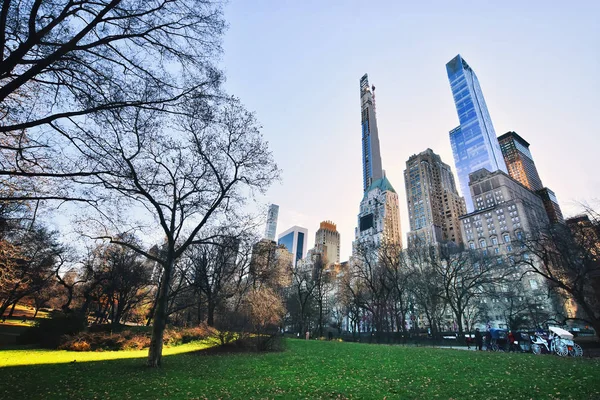 Beautiful Winter Day Central Park One Most Visited Tourist Attractions — Stock Photo, Image