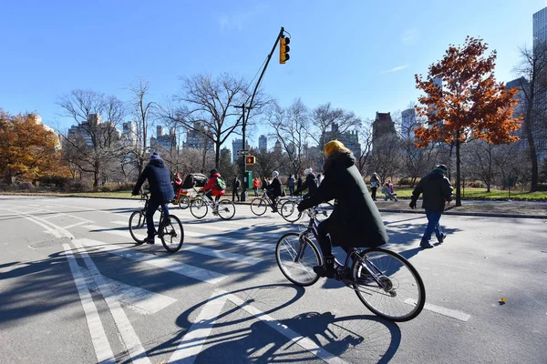 Manhattan, New York, Nyc, ABD - 7 Aralık 2019. Central Park 'ta bisiklete binen insanlar, Manhattan, New York' ta dünya çapında en çok ziyaret edilen turistik yerlerden biri..
