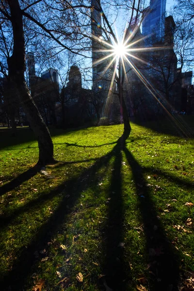 Belo Dia Inverno Central Park Uma Das Atrações Turísticas Mais — Fotografia de Stock