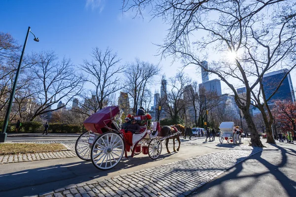 Manhattan New York Nyc Estados Unidos Dezembro 2019 Passeio Carruagem — Fotografia de Stock