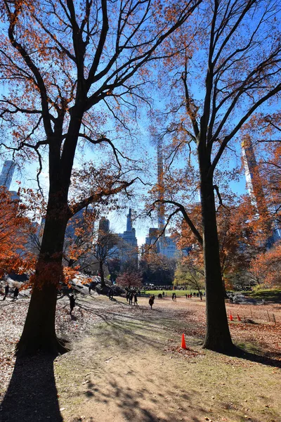 Belle Journée Hiver Central Park Une Des Attractions Touristiques Les — Photo