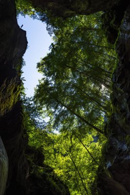 Muhteşem Gorges du Pont-du-Diable, Dranse de Morzine boyunca bir karst Haute-Savoie 'de Chablais Massif, Portes du Soleil bölgesi, Fransa 