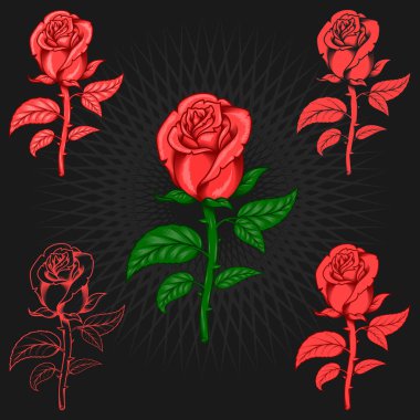 Dikenli gül vektör sanatı beş renk stili ve çizgi