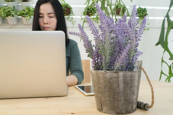 purple lavender flower on pot and Asian woman find job, shopping