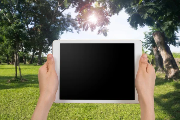 Teléfono inteligente de mano, tableta, teléfono celular con pantalla en blanco en el fondo borroso del parque del árbol . — Foto de Stock