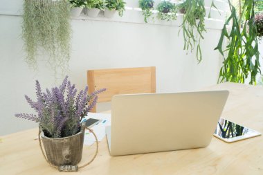 Ekran laptop, bilgi verileri, tablo arka ofis masaları ile