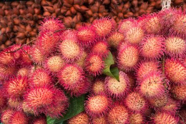 raf ve salak meyve arka plan üzerinde kırmızı rambutans. Kırmızı tropikal 