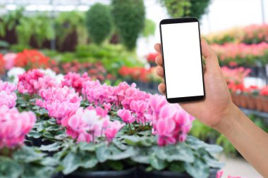 insan'ın elini tut ekran akıllı telefon, tablet, cep telefonu boş