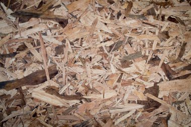 soyut gümüş ahşap arka plan doku.