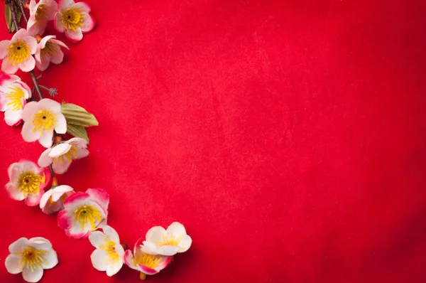 Fira kinesiska nyåret bakgrund med vackra blossom fr — Stockfoto